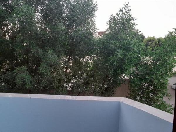 לוקסור Nile Youth Hotel מראה חיצוני תמונה